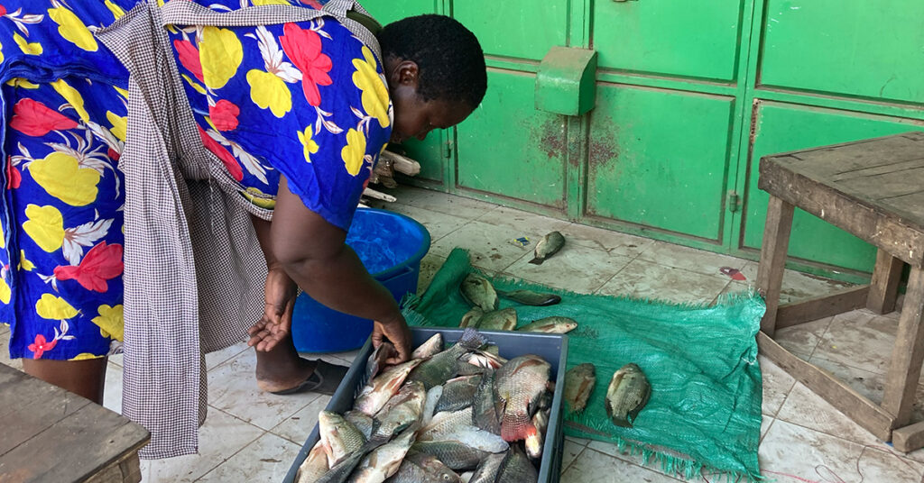 Fishers sorting catch Sokofresh