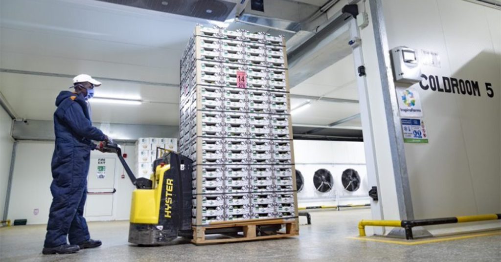 Man moving pallet of boxes into the cold store