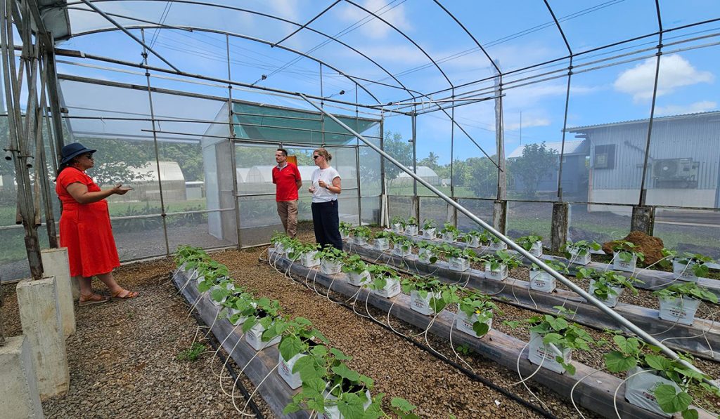 Rhiannon in the hydroponic crops 